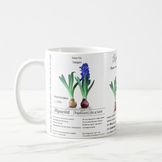 Botanical mug Hyacinth in my garden.  コーヒーマグカップ (左)