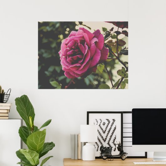 Botanical nature Wall Art Rose Print ポスター (ホームオフィス)
