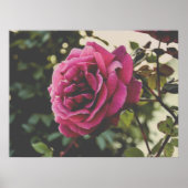 Botanical nature Wall Art Rose Print ポスター (正面)