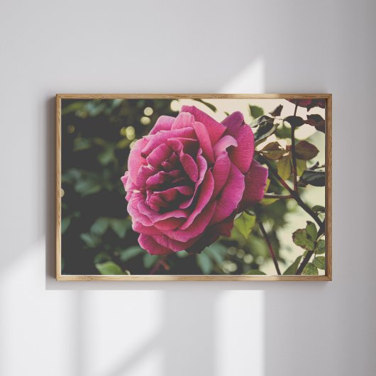 Botanical nature Wall Art Rose Print ポスター