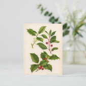 Botanical Print - Mountain & American Holly ポストカード (スタンド正面)