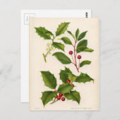 Botanical Print - Mountain & American Holly ポストカード (正面/裏面)