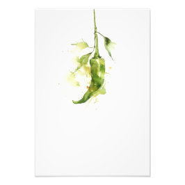Botanical Red Pepper Watercolor Art Print-Stage2 フォトプリント