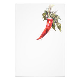 Botanical Red Pepper Watercolor Art Print-Stage3 フォトプリント