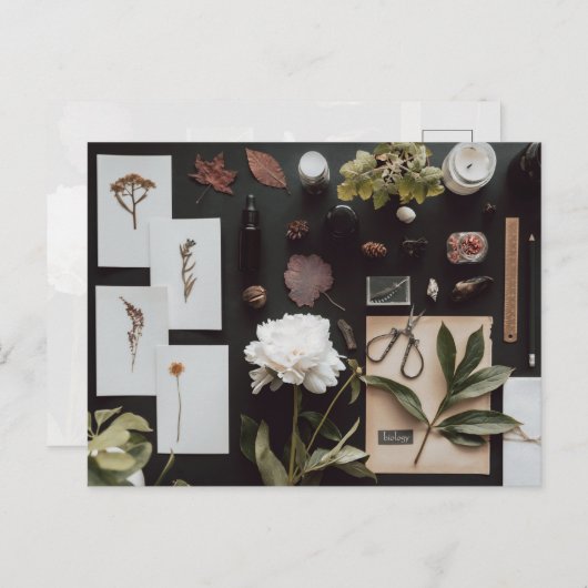 Botanical Science Flat Lay Academia ポストカード (正面/裏面)