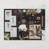 Botanical Science Flat Lay Academia ポストカード (正面)