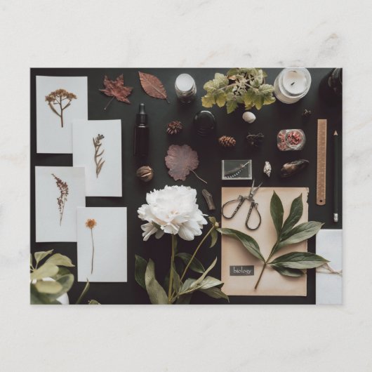 Botanical Science Flat Lay Academia ポストカード (正面)