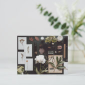 Botanical Science Flat Lay Academia ポストカード (スタンド正面)