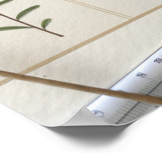 Botanical Scientific Plate ポスター (角)
