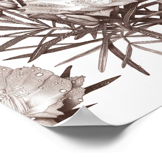 Botanical Study - Desert Wildflowers ポスター (角)