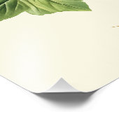 Botanical Vintage Floral Marsh-Mallow Poster フォトプリント (角)