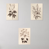 Botanical Wall Art for Living Room (正面)