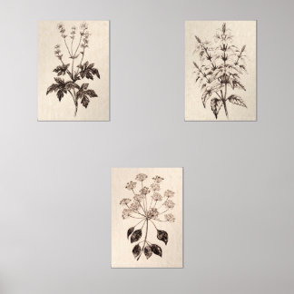Botanical Wall Art for Living Room
