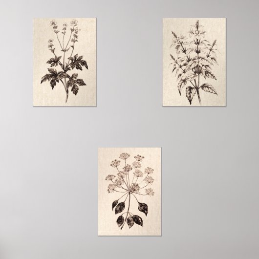 Botanical Wall Art for Living Room (正面)