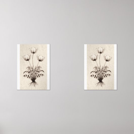 Botanical Wall Art for Living Room (正面)