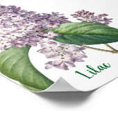 Botanical Watercolor Lilac Illustration ポスター (角)