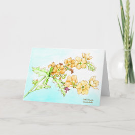 Botanical watercolor wildflower globemallow カード