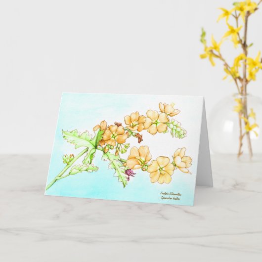 Botanical watercolor wildflower globemallow カード (黄色い花)