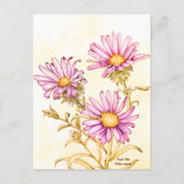 Botanical wildflower watercolor aster ポストカード