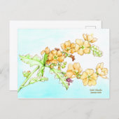 Botanical wildflower watercolor, globemallow ポストカード (正面/裏面)