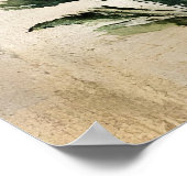 Botanical wildflowers including daisies in white,  ポスター (角)