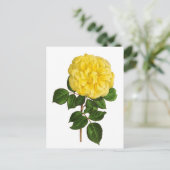 Botanical Yellow Peony ポストカード (スタンド正面)