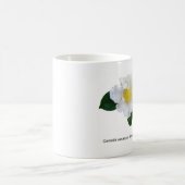 Botanicals -ツバキの花 コーヒーマグカップ (中央)
