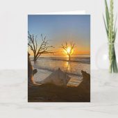 botany bay sunrise #1 greeting card (空白のinside) カード (正面)