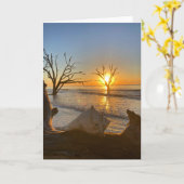 botany bay sunrise #1 greeting card (空白のinside) カード (黄色い花)