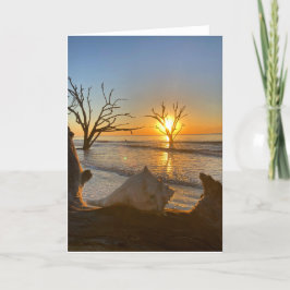 botany bay sunrise #1 greeting card (空白のinside) カード