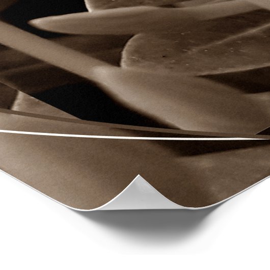 Botões ポスター (角)