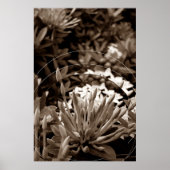 Botões ポスター (正面)