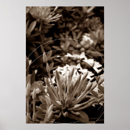 Botões ポスター