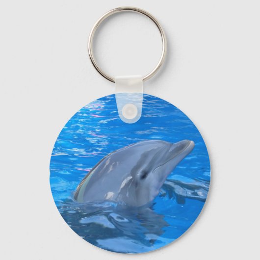 Bottlenose Dolphin Keychain キーホルダー (正面)