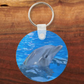 Bottlenose Dolphin Keychain キーホルダー (正面)