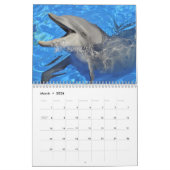 Bottlenose dolphins 12 month calendar カレンダー (3月 2026)