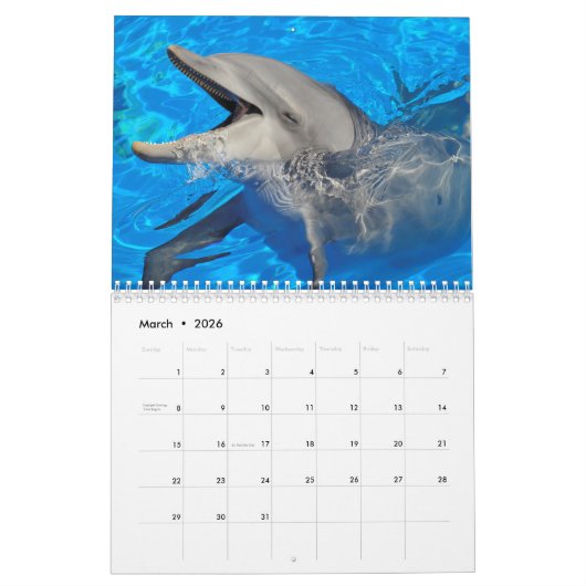 Bottlenose dolphins 12 month calendar カレンダー (3月 2026)