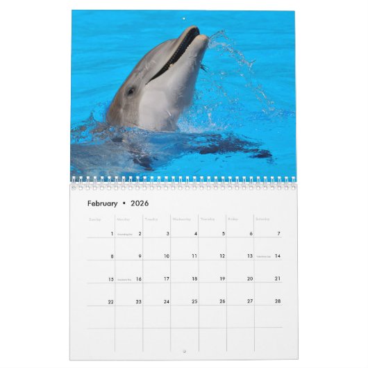 Bottlenose dolphins 12 month calendar カレンダー (2月 2026)