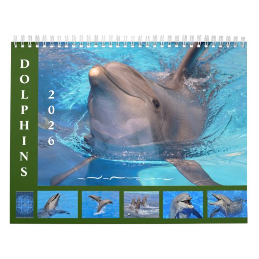 Bottlenose dolphins 12 month calendar カレンダー (カバー)