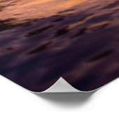 Bottlenose Dolphins Tursiops truncatus) 8 ポスター (角)