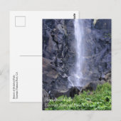 Bottom of Bridalveil秋, Yosemite, CAポストカード ポストカード (正面/裏面)