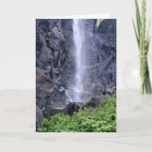 Bottom of Bridalveil秋, Yosemite, CA カード (正面)