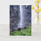 Bottom of Bridalveil秋, Yosemite, CA カード (黄色い花)