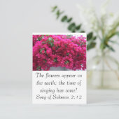 Bougainvilla -聖なる書物、 経典：ソロモンの歌2:12 ポストカード (スタンド正面)
