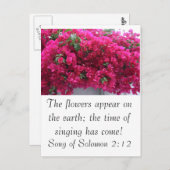 Bougainvilla -聖なる書物、 経典：ソロモンの歌2:12 ポストカード (正面/裏面)