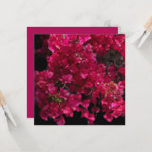 Bougainvillea赤い熱帯性乾性低木の写真 カード (正面/裏面インサイチュ)