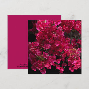 Bougainvillea赤い熱帯性乾性低木の写真 カード