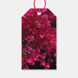 Bougainvillea赤い熱帯性乾性低木の写真 ギフトタグ
