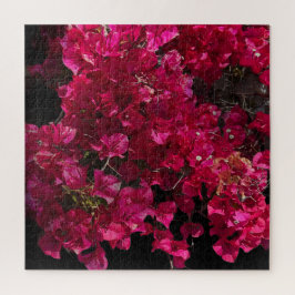 Bougainvillea赤い熱帯性乾性低木の写真 ジグソーパズル