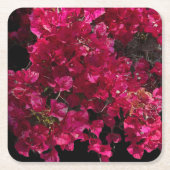 Bougainvillea赤い熱帯性乾性低木の写真 スクエアペーパーコースター (正面)